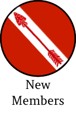 webnew